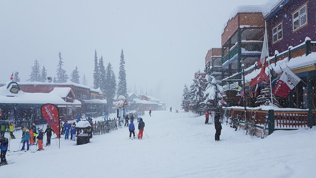 Bugaboos Bakery Cafe